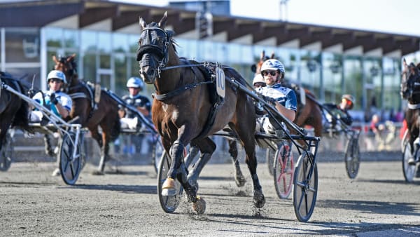 Foto: MALIN ALBINSSON / TR BILD