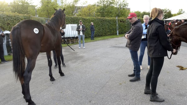 Foto: LARS JAKOBSSON / TR BILD