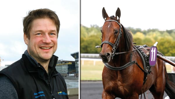 Foto: Maria Holmén/TR Bild/Montage