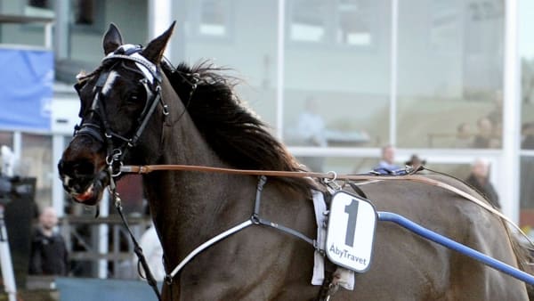 Foto: Malin Albinsson/Kanal 75