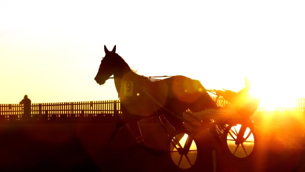 Foto: MARIA HOLMÉN / TR BILD