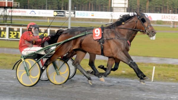Foto: MAGNUS STRÖMSTEN/ALN