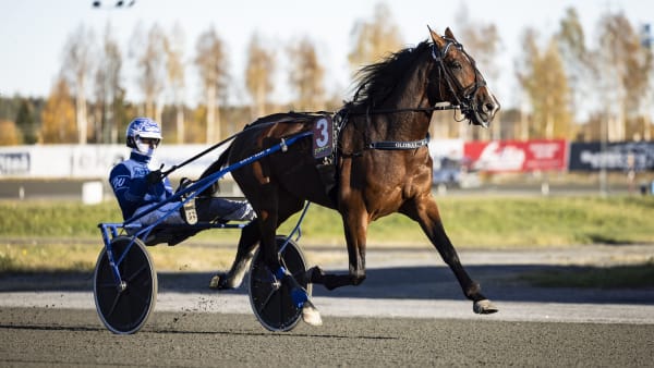 Foto: LENA EMMOTH / TR BILD