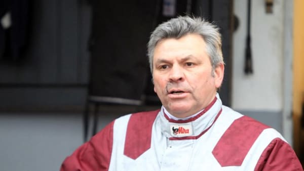 Foto: MIA TÖRNBERG/TRAVRONDEN