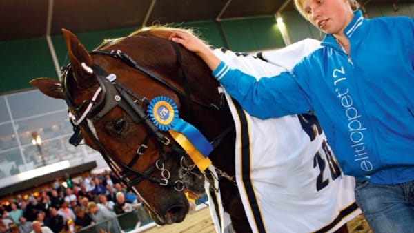 Foto: MARIA HOLMÉN/TRAVRONDEN