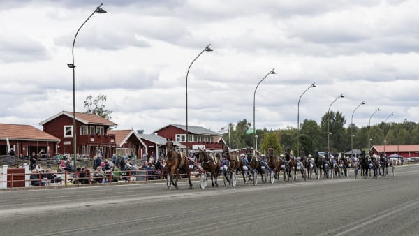 Foto: LENA EMMOTH / TR BILD