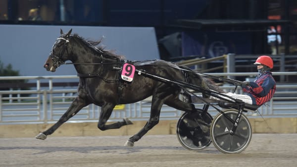 Foto: LARS JAKOBSSON / TR BILD