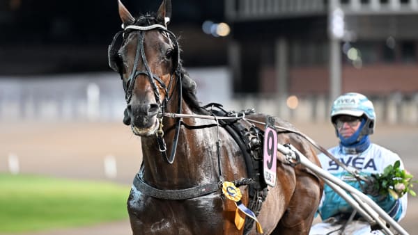 Foto: LARS JAKOBSSON / TR BILD