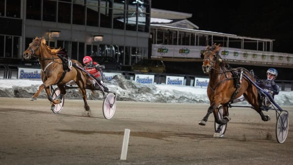 Foto: DAVID SCHREINER / TR BILD