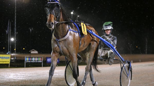 Foto: MARIA HOLMÉN / TR BILD