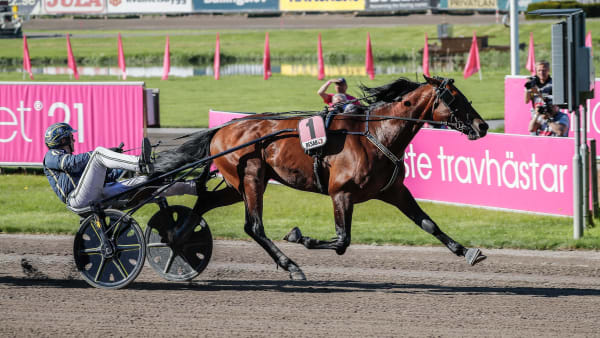 Foto: LENA EMMOTH / TR BILD