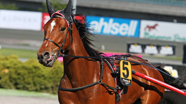 Foto: MATILDA ÖHRMAN / TR BILD