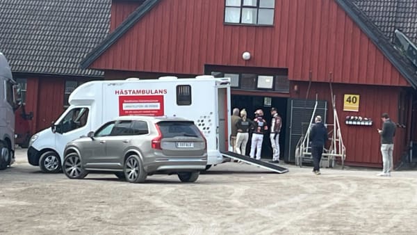 Foto: Patrick Sjöö/TR Bild