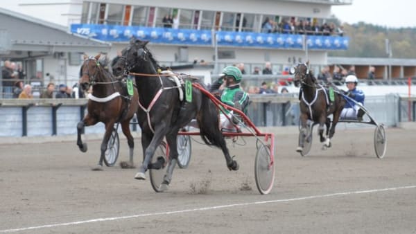 Foto: MALIN ALBINSSON/ALN