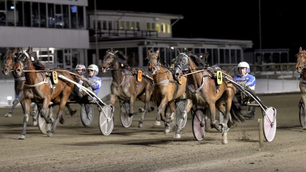 Foto: LARS JAKOBSSON / TR BILD