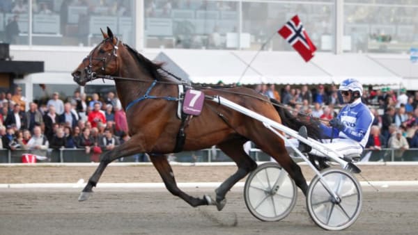 Foto: JEANNIE KARLSSON