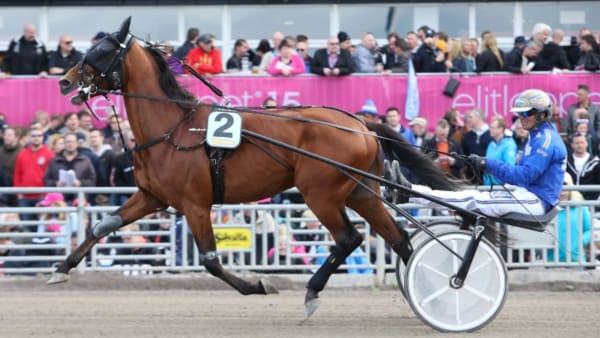 Foto: JEANNIE KARLSSON