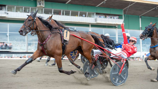 Foto: MIKAEL ROSENQUIST/TR BILD