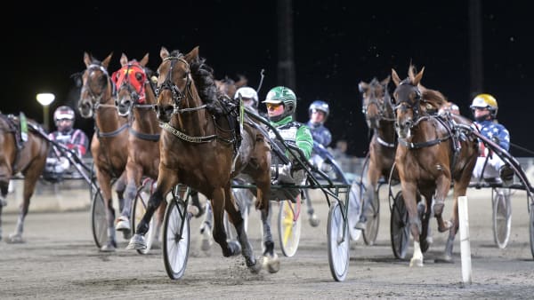 Foto: LARS JAKOBSSON / TR BILD