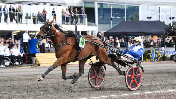 Foto: MALIN ALBINSSON / TR BILD
