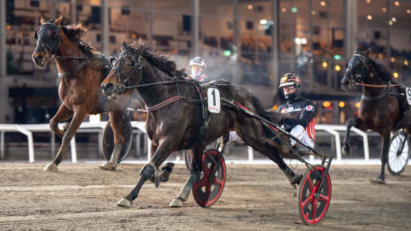 Foto: MIKAEL ROSENQUIST / TR BILD