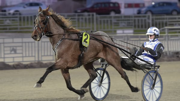 Foto: LARS JAKOBSSON / TR BILD