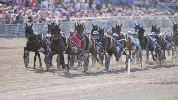 Foto: THOMAS BLOMQVIST / TR BILD