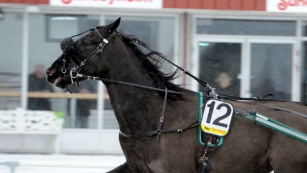 Foto: MARTIN LANGELS/ALN