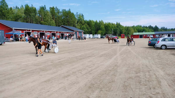 Foto: LUCAS ERICSSON/TR BILD