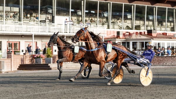 Foto: LENA EMMOTH / TR BILD