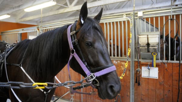 Foto: Göran Lindskog/Sidmakarn