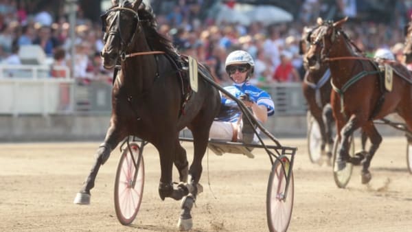 Foto: MICKE GUSTAFSSON/ALN