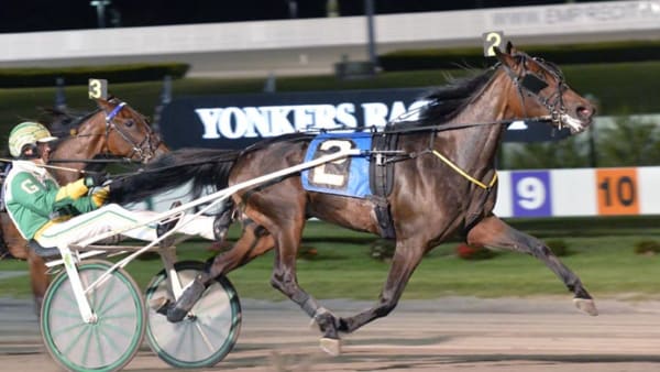 Foto: Stefan Melander/stalltz.se