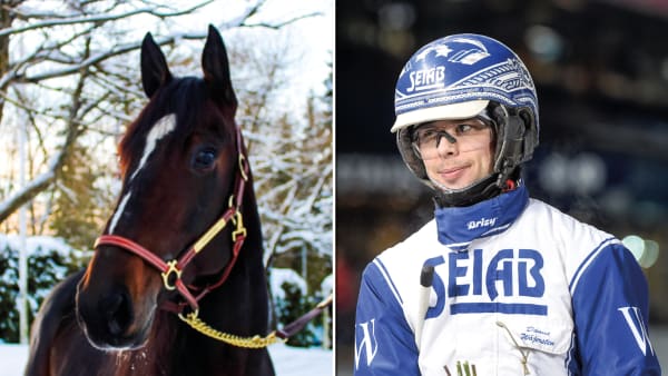 Foto: Privat samt Lars Jakobsson/TR Bild