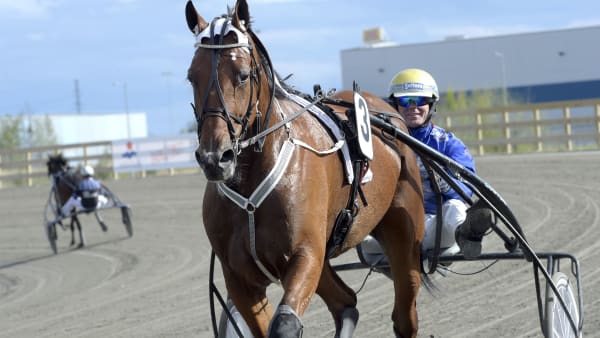 Foto: LARS JAKOBSSON / TR BILD