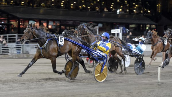 Foto: LARS JAKOBSSON / TR BILD