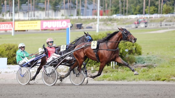 Foto: Maisa Hyttinen/Suomen Hippos