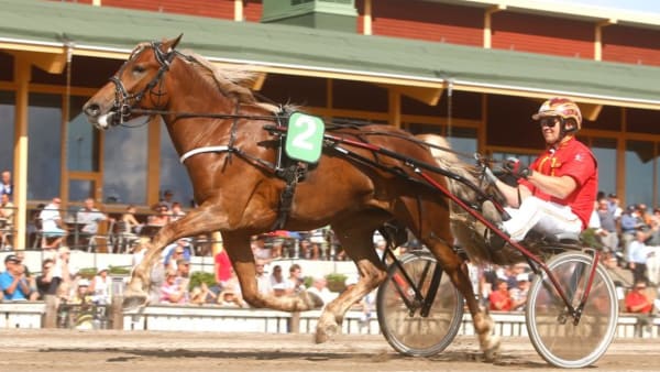 Foto: MICKE GUSTAFSSON/ALN