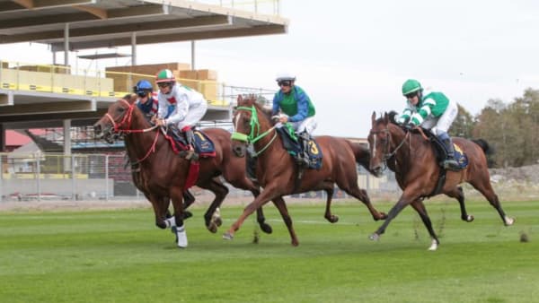 Foto: JEANNIE KARLSSON