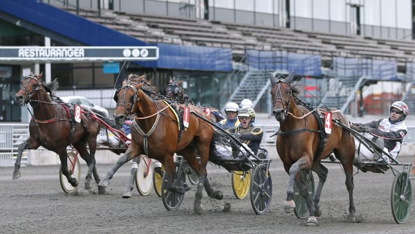 Foto: MARIA HOLMÉN / TR BILD