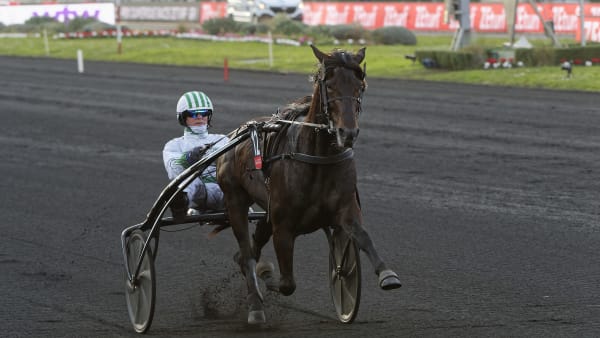 Foto: JEAN-LUC LAMAÈRE/LE TROT