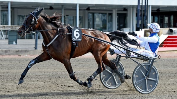 Foto: MALIN ALBINSSON / TR BILD