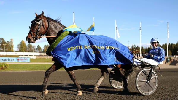 Foto: MARIA HOLMÉN / TR BILD