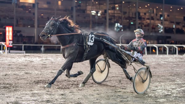 Foto: MIKAEL ROSENQUIST / TR BILD