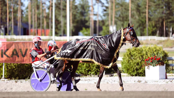 Foto: Maisa Hyttinen/Suomen Hippos
