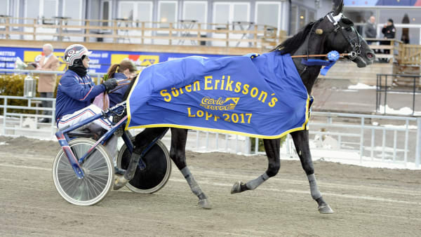 Foto: Micke Gustafsson/ALN