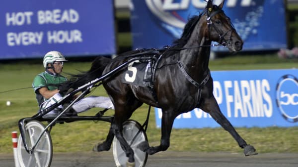 Foto: Stefan Melander/stalltz.se