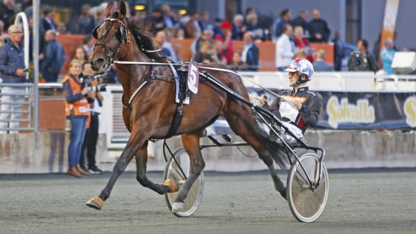 Foto: Matilda Öhrman/TR Bild