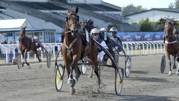 Foto: LARS JAKOBSSON / TR BILD