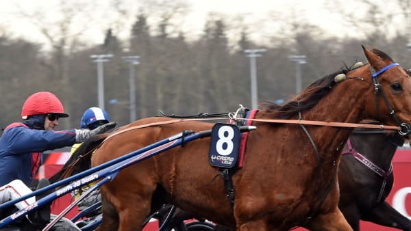 Foto: LARS JAKOBSSON/TR BILD